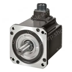 1S Motors