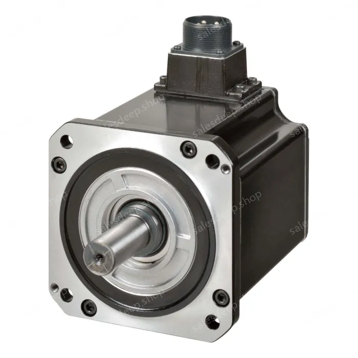 1S Motors